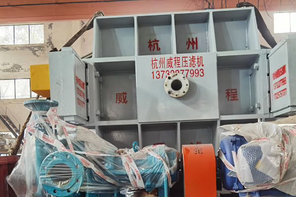 草莓视频在线播放价格是多少？哪家优惠？